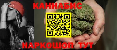 крисы Гагарин