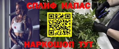ECSTASY Гатчина