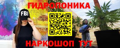 прущие грибы Ярцево