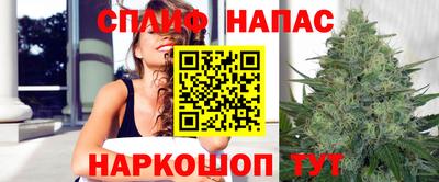 крисы Гагарин