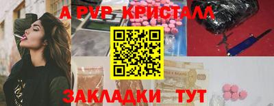 крисы Гагарин
