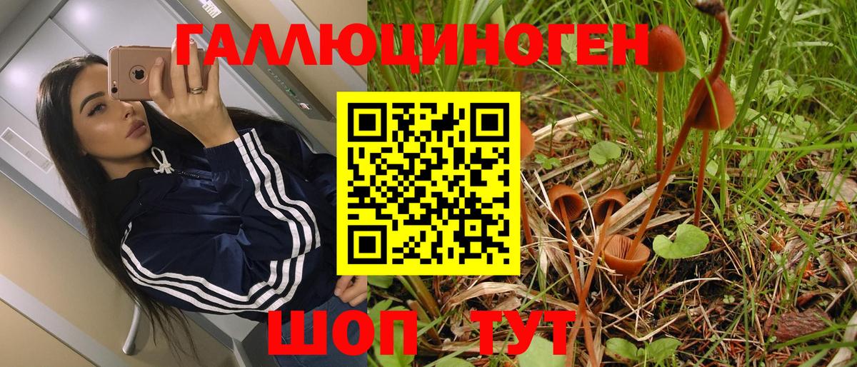 Батайск  Псилоцибиновые грибы MAGIC MUSHROOMS  Вход с VPN 